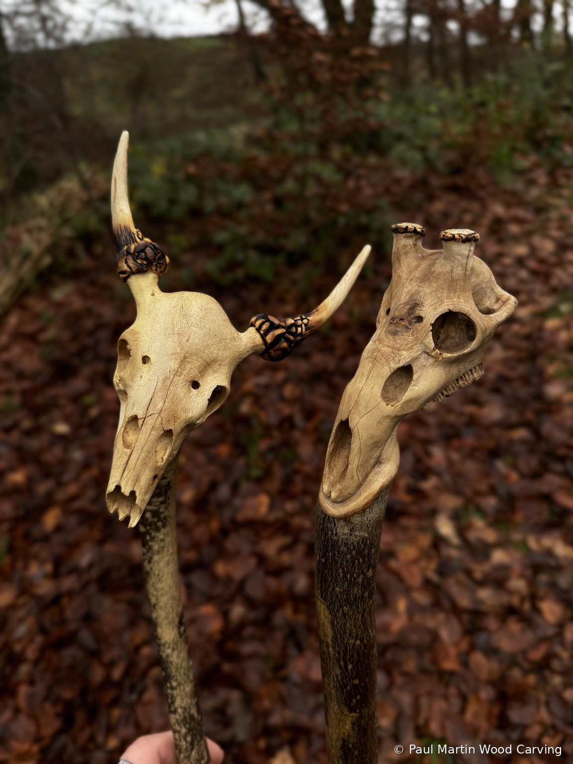 Carved animal skull walking sticks