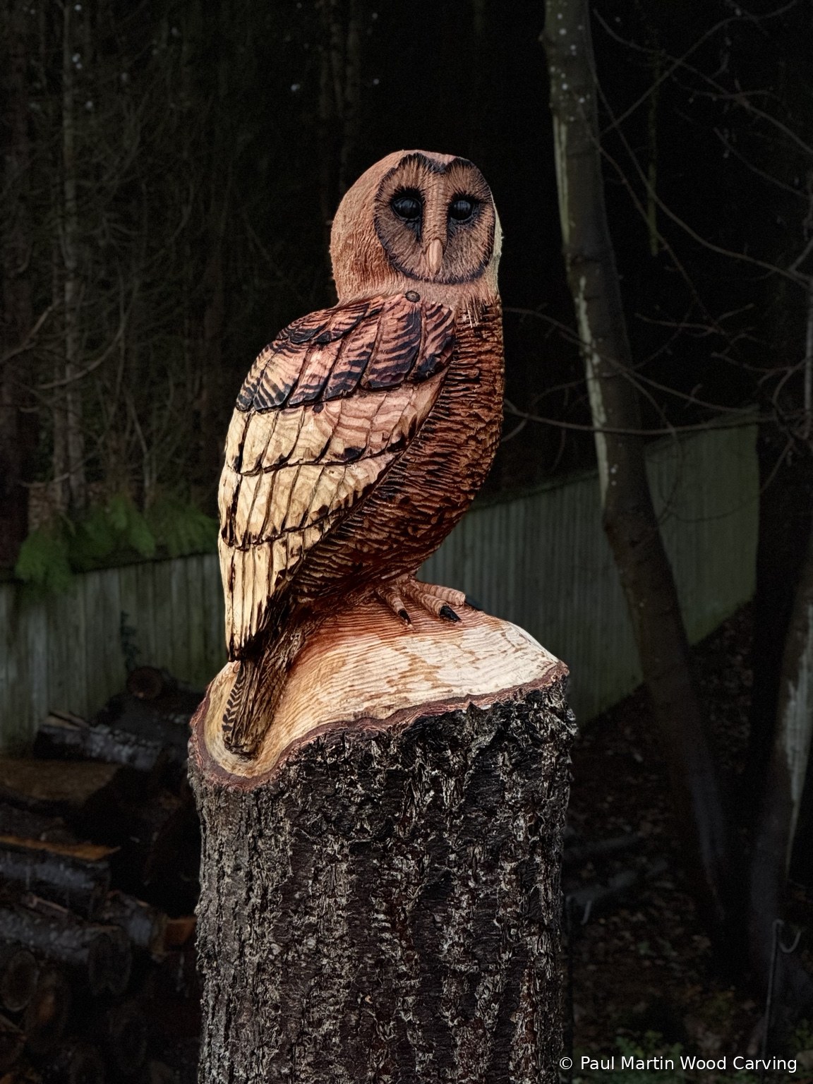 Detailed carved barn owl